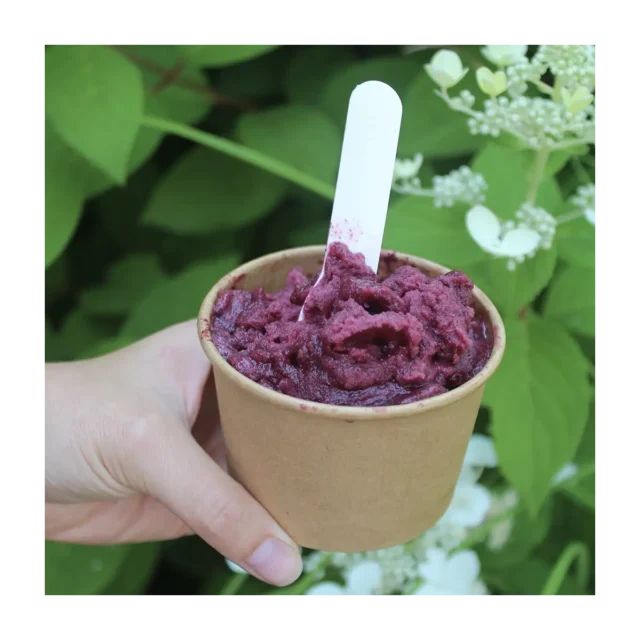 Sorbet vegan maison aux bleuets au Lac Saint-Jean préparé par Shawbridge disponible dans les Laurentides